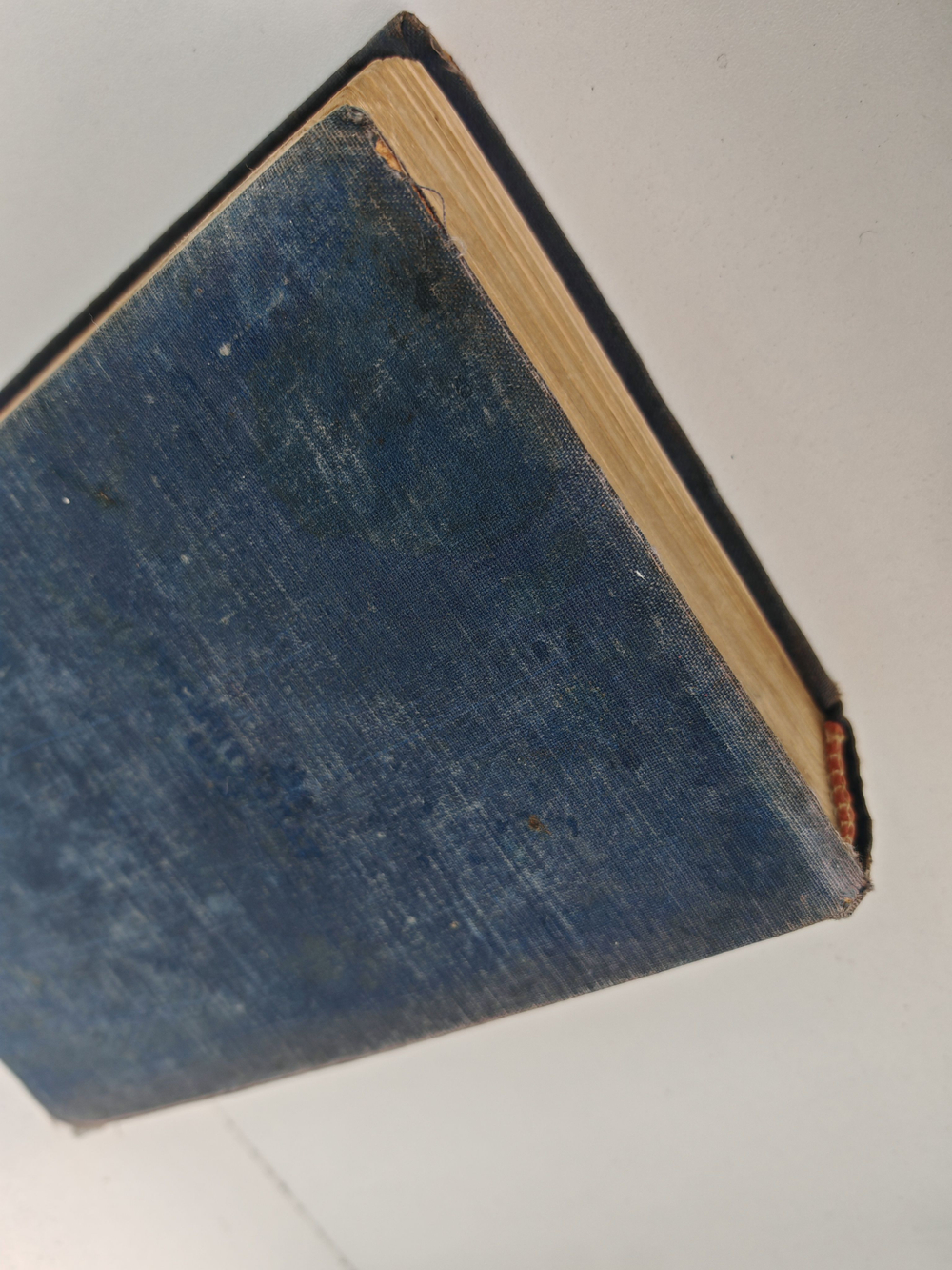 Белая береза: Роман