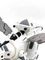 Robot Dinosaur 0878