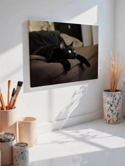 Картина на стену 40 X 50 Кошка