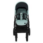 Коляска 2 в 1 Roan Esso Leather, Misti Mint / Мятный