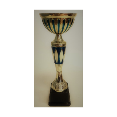 Кубок GD 2203 В