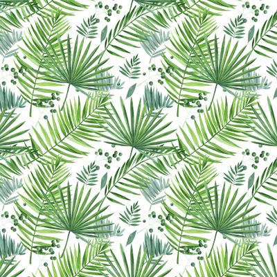 акварельные тропические листья на белом_03