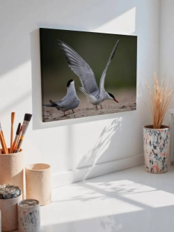 Картина на стену 40 X 50 Чайки