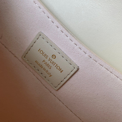 Louis Vuitton Hide & Seek Bag