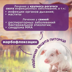 антибактериальный препарат для крупно рогатого скота, раствор для инъекций KRKA Марфлоксин 100мл, Марбофлоксацин 10%