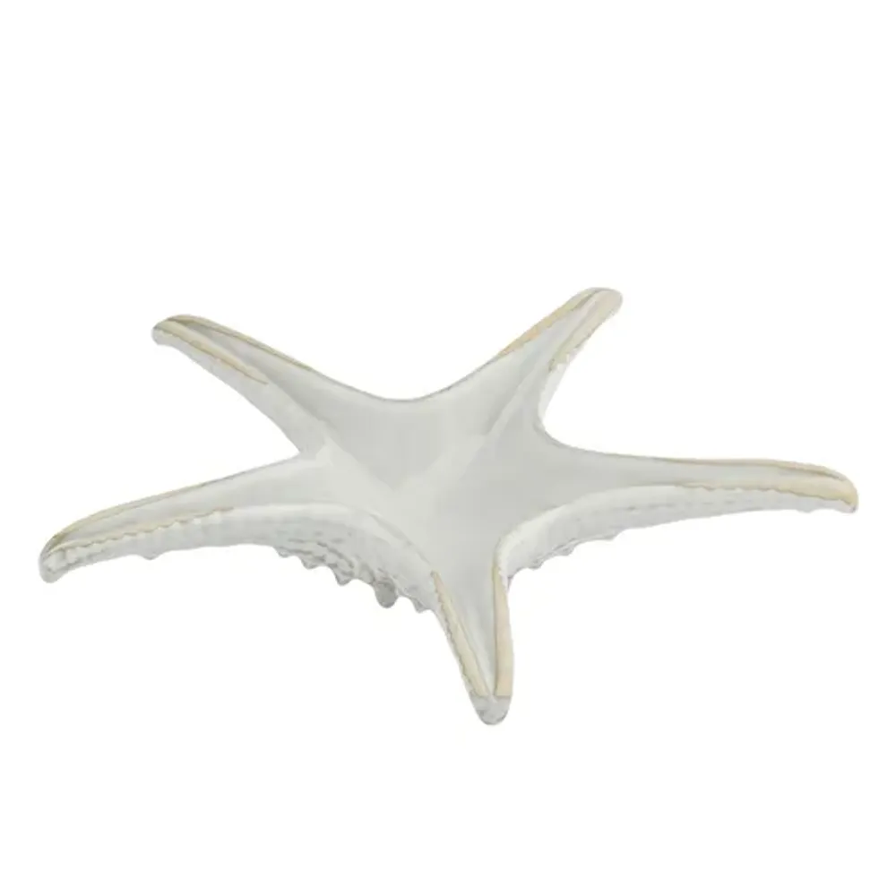 Блюдо для подачи 24 см h6 см Звезда Gray Starfish Frutti di Mare P.L. [1]