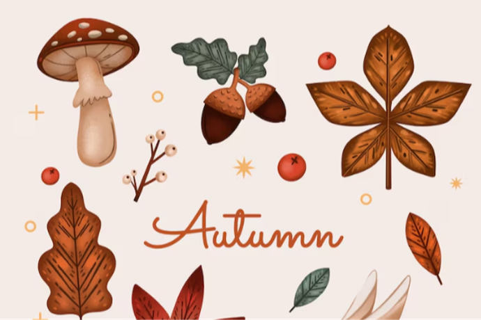 Стикерпаки