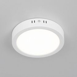 Накладной светильник Citilux Галс CL5516N