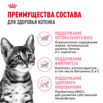 Royal Canin Kitten Sterilised Киттен Стерилайзд Корм сухой для стерилизованных котят с момента операции до 12 месяцев 3,5кг