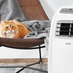 Ballu BPAC-07 CP_22Y мобильный кондиционер НС-1411473