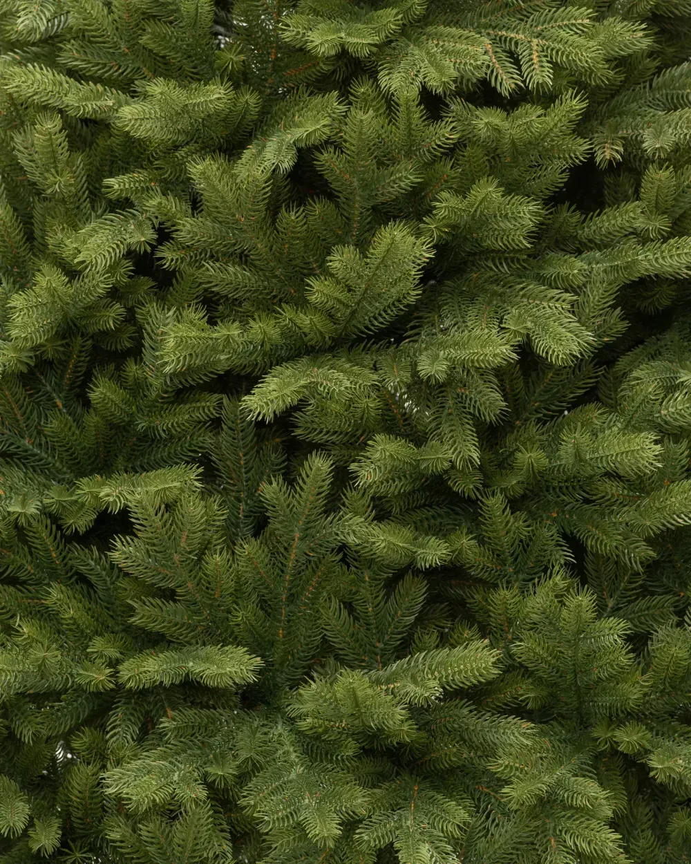 Елка с гирляндой «Эрмитажная» (Литая хвоя) 270 см / 2,7 м