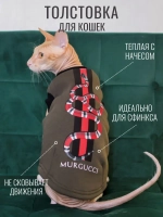 Одежда для кошек сфинкс гуччи