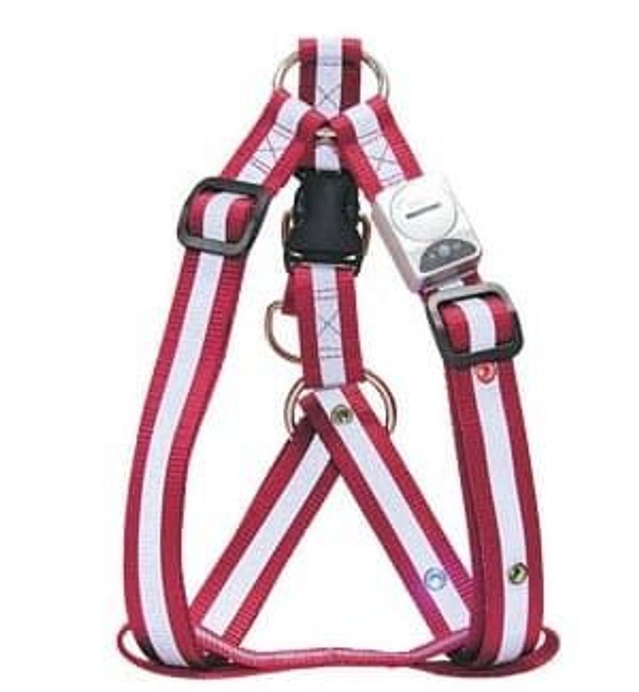 ШЛЕЙКА СВЕТЯЩАЯСЯ 20мм 45/70см  FH-212R (СИНЯЯ)