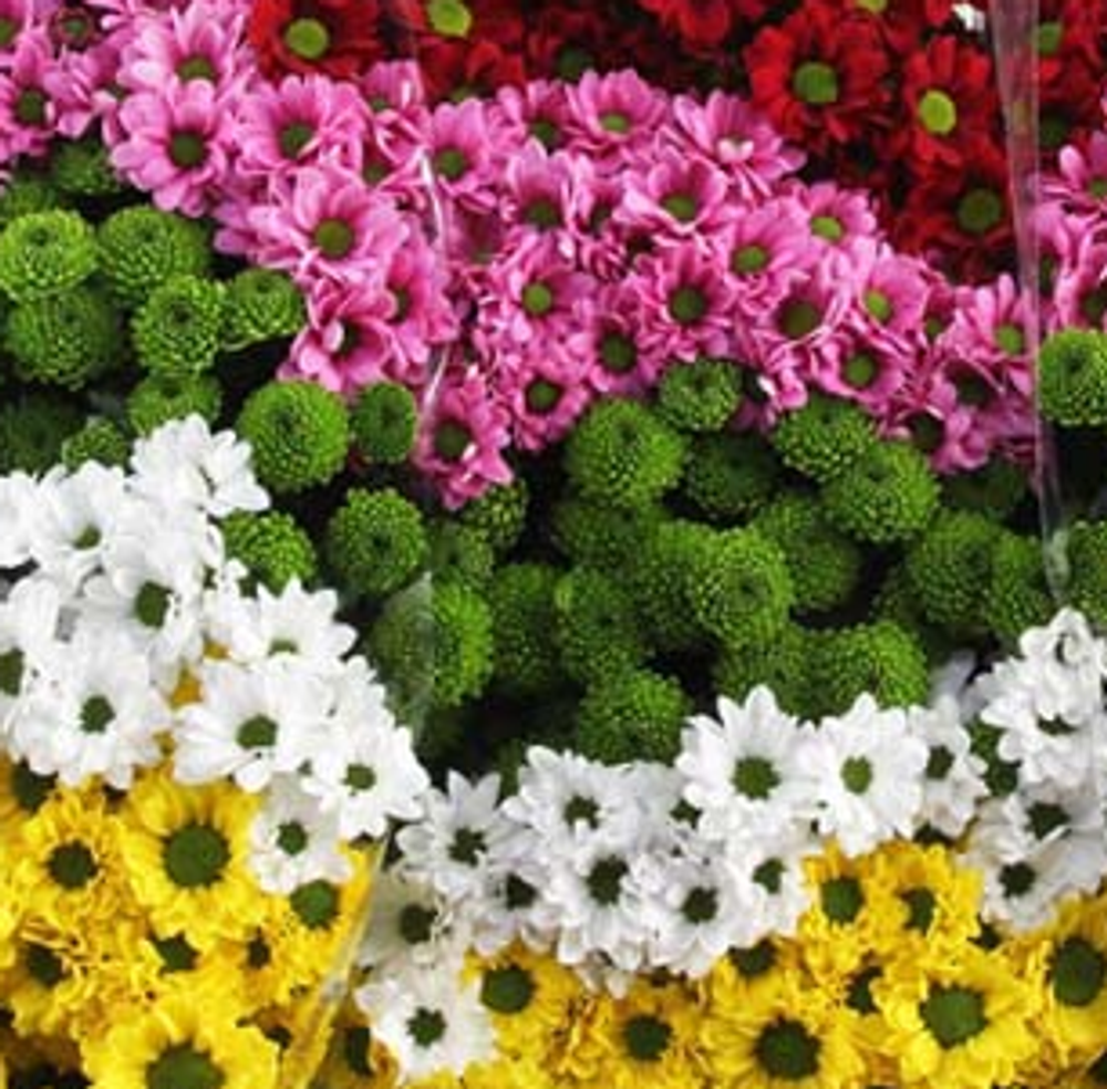 Сантини микс