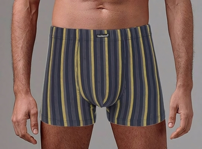 Мужские трусы-боксеры в контрастную полоску (Размер: M) (Цвет: серый)