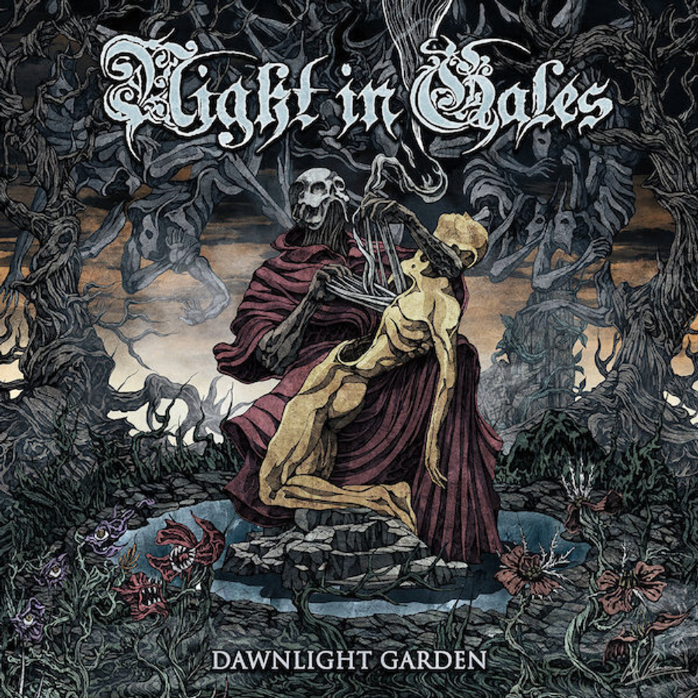 NIGHT IN GALES - Dawnlight Garden DIGI, музыкальный компакт диск