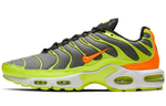 Кроссовки Nike Air Max Plus Color Flip