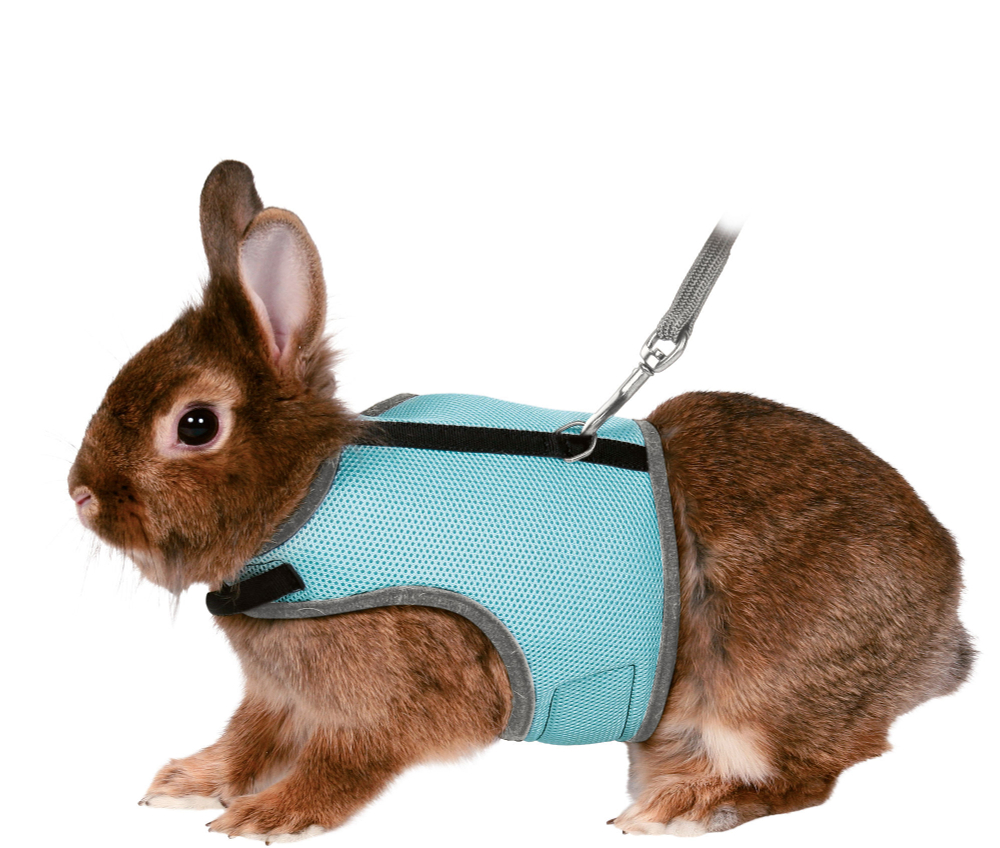 Шлейка для кроликов Trixie Soft Harness L