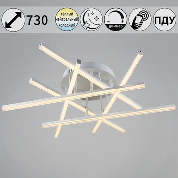 01321-0.3-06 WT светильник потолочный