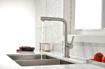 Смеситель для кухни Paulmark Neo Ne214419-BS брашированная сталь