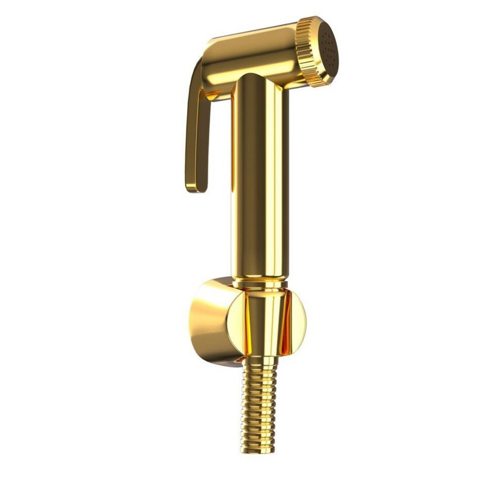 Набор гигиенического душа ALD-GLD-573