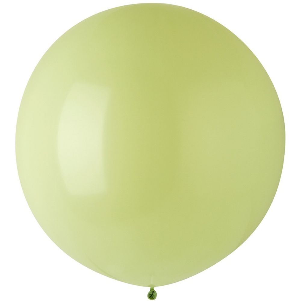 EV 24&quot;/781 Стандарт Macaron Pistachio 1 шт