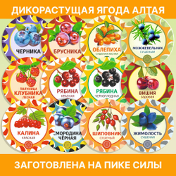 Саган-Дайля.