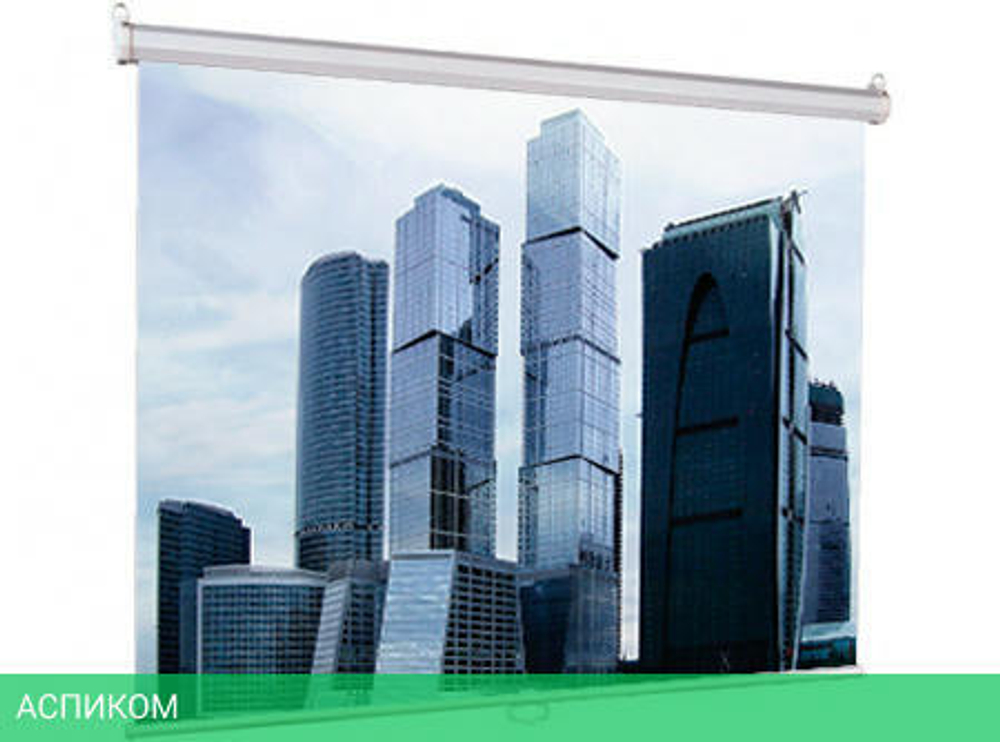 Проекционный экран Lumien Eco Picture (LEP-100101)