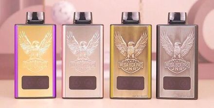 JNR Mega box Pro 60000 затяжек 20мг (2%)