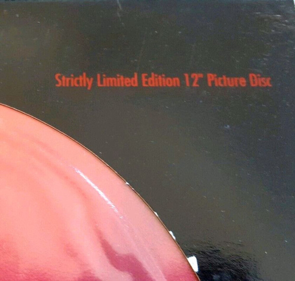 Nirvana / In Bloom (Limited Edition)(Picture Disc)(12" Vinyl Single)