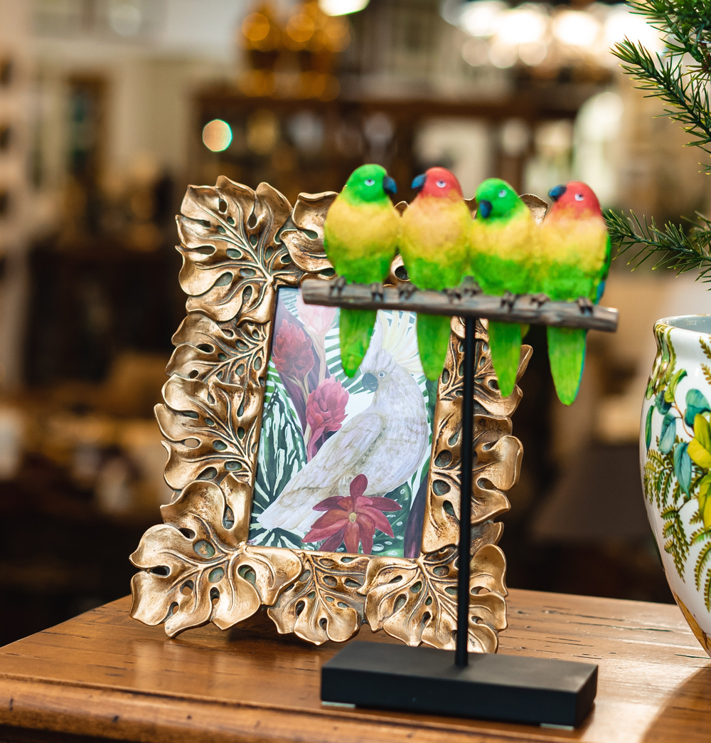 Попугаи на ветке