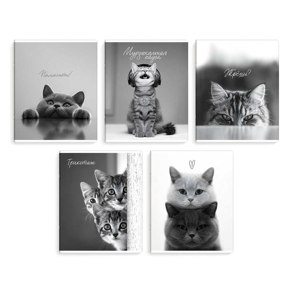 Тетрадь А5 48л. клетка "Монохромные коты" мягкий переплёт, ТВИН лак, ассорти (Феникс+)