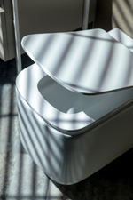 Унитаз подвесной, Mane Белый матовый c крышкой