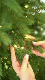 Елка с гирляндой «Русская» (Литая хвоя) от 2,1 м до 3 м