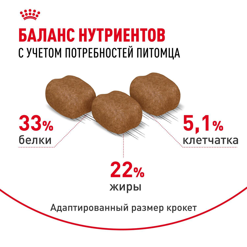 Royal Canin Hair&Skin Care Корм сухой для взрослых кошек для поддержания здоровья кожи и шерсти 2кг