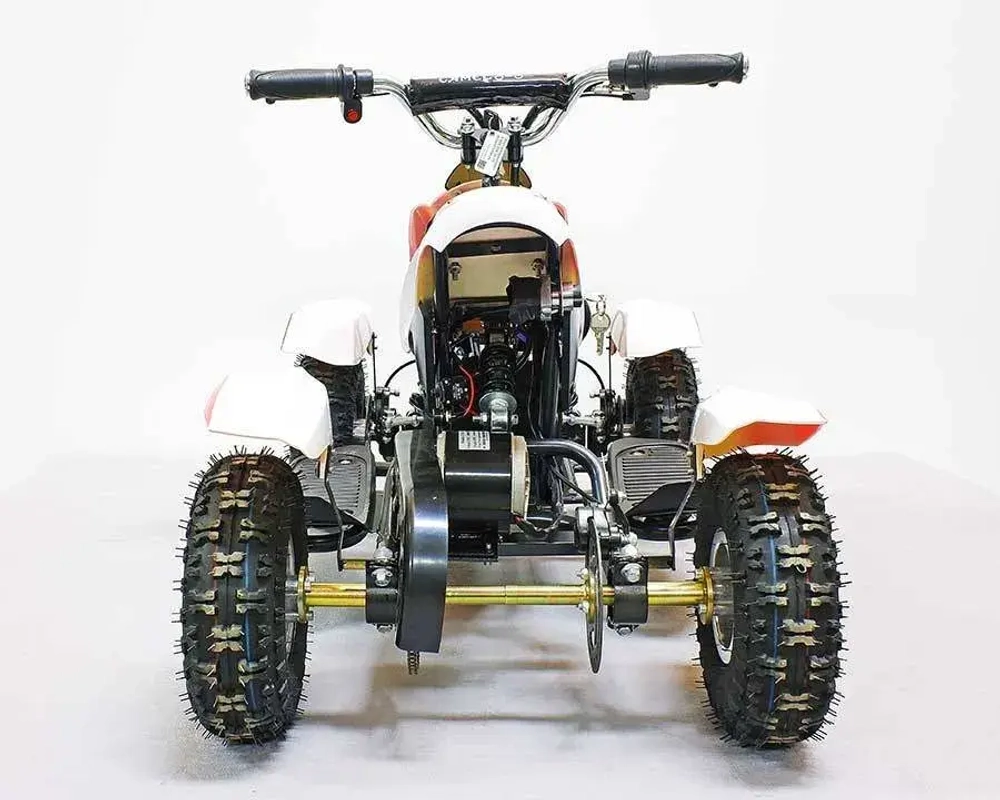 Электроквадроцикл Green Camel Гоби K22 (36V 500W R4 Цепь)