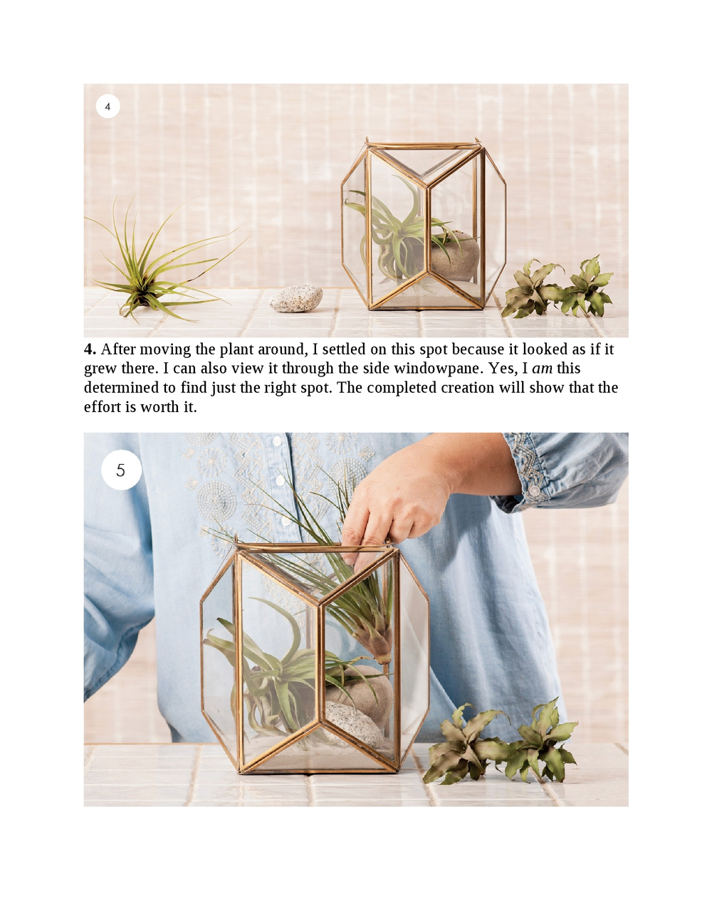 Terrariums - Gardens Under Glass