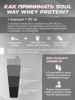 Протеин сывороточный, набор из 3 банок Protein Whey