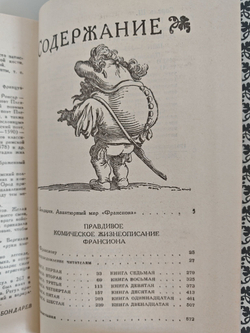 Правдивое комическое жизнеописание Франсиона