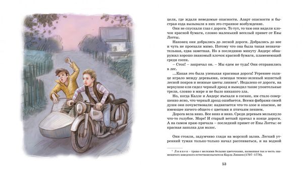 Калле Блумквист и Расмус (перевод Брауде)