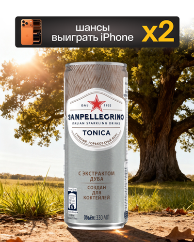 San Pellegrino tonica Oakwood 0,33 л.