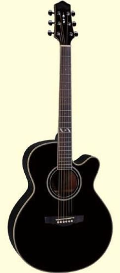 Акустическая фолк-гитара Naranda F303CBK