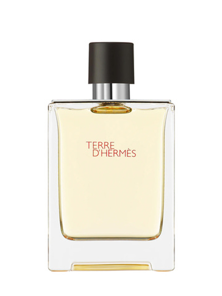 HERMES Terre d'Hermes men 100ml edt