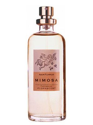 Florascent Mimosa