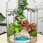 Готовый флорариум бонсай Кармона Бонсариум с озером