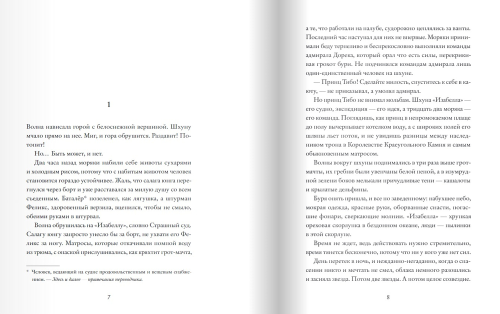 Королевство Краеугольного Камня. Мастер крушений. Книга 1