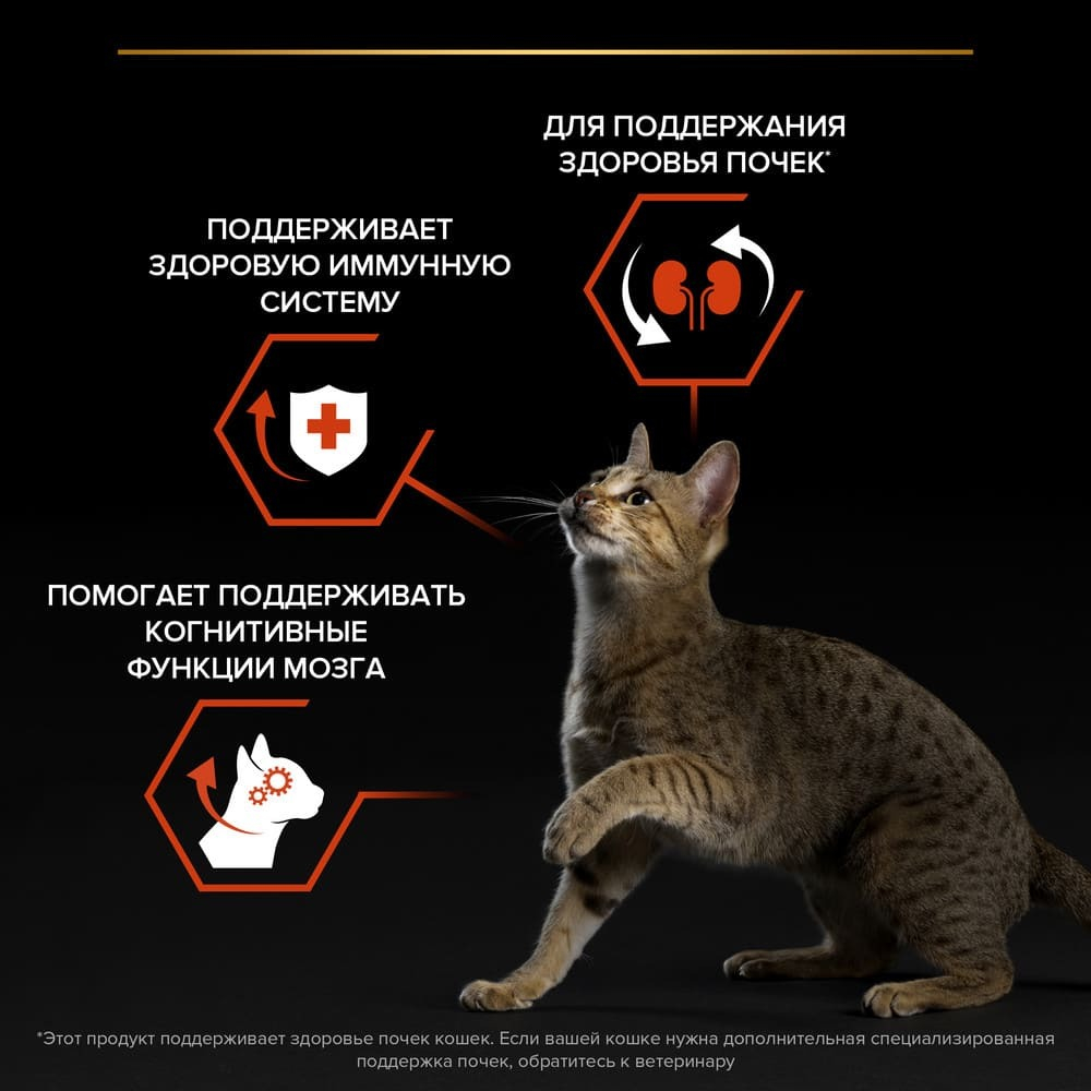 Pro plan корм сухой для взрослых кошек, всех размеров и пород с лососем