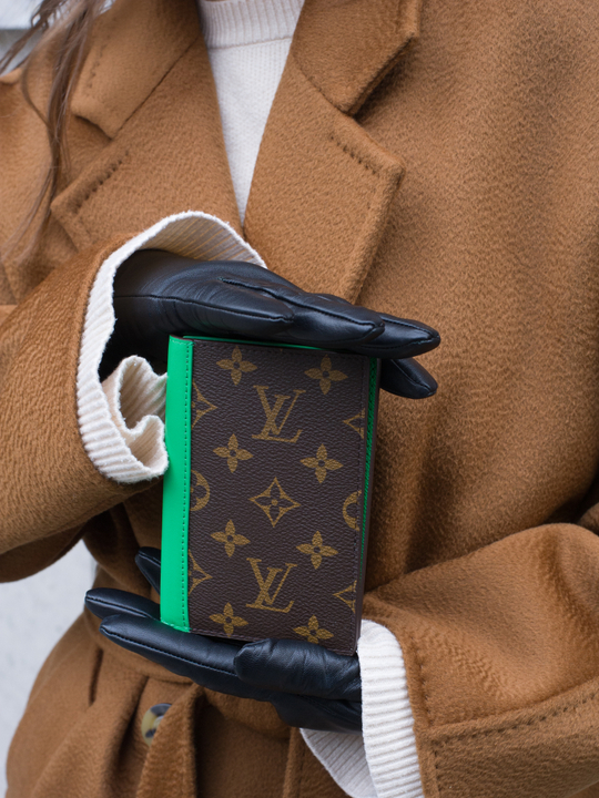 Louis Vuitton Обложка для паспорта