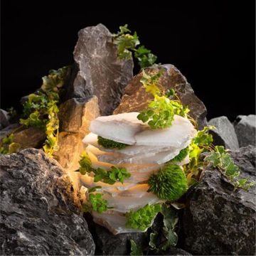 1713/17 SP-100 СВЕТИЛЬНИК ПОДВЕСНОЙ