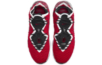 Кроссовки Nike Lebron 17 Ep 17